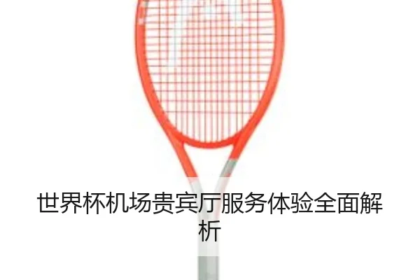 世界杯机场贵宾厅服务体验全面解析
