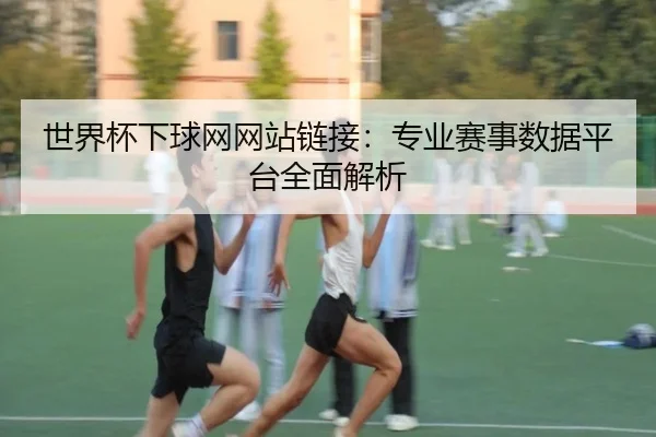 世界杯下球网网站链接：专业赛事数据平台全面解析