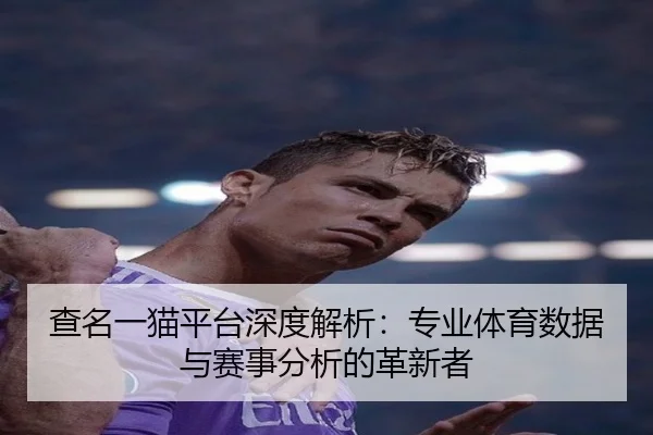 查名一猫平台深度解析：专业体育数据与赛事分析的革新者