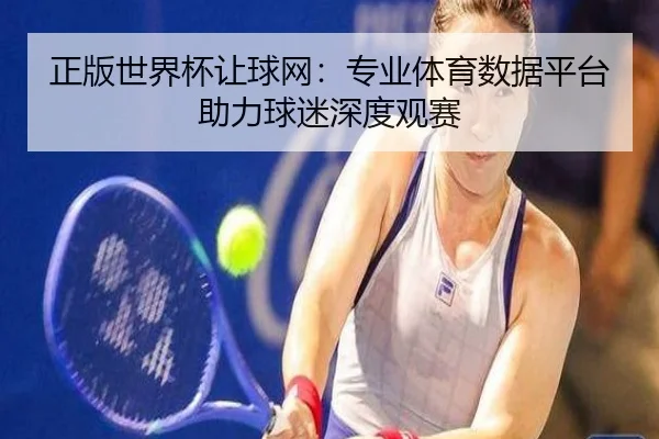 正版世界杯让球网：专业体育数据平台助力球迷深度观赛