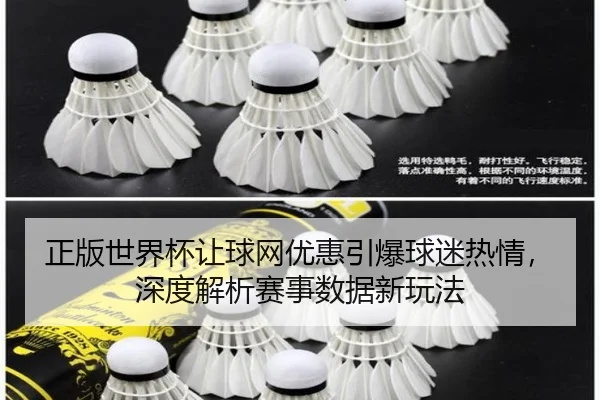 正版世界杯让球网优惠引爆球迷热情，深度解析赛事数据新玩法